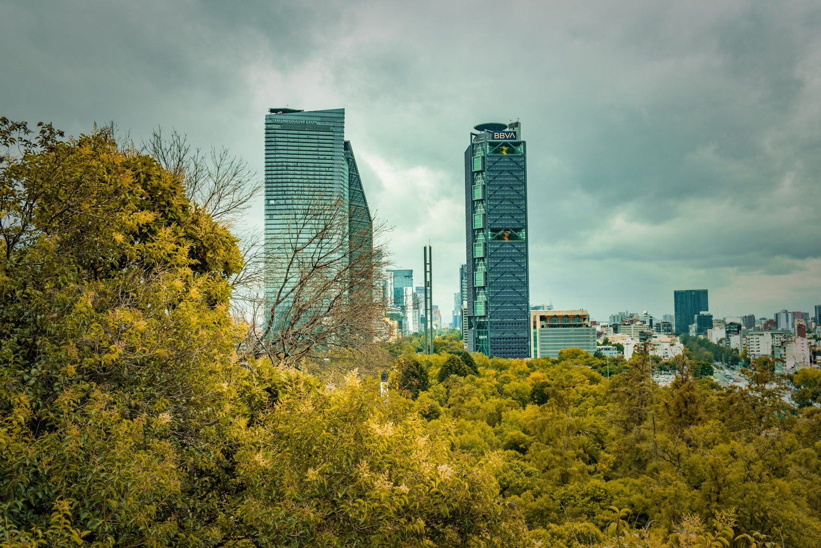 Green Trees Near City Buildings