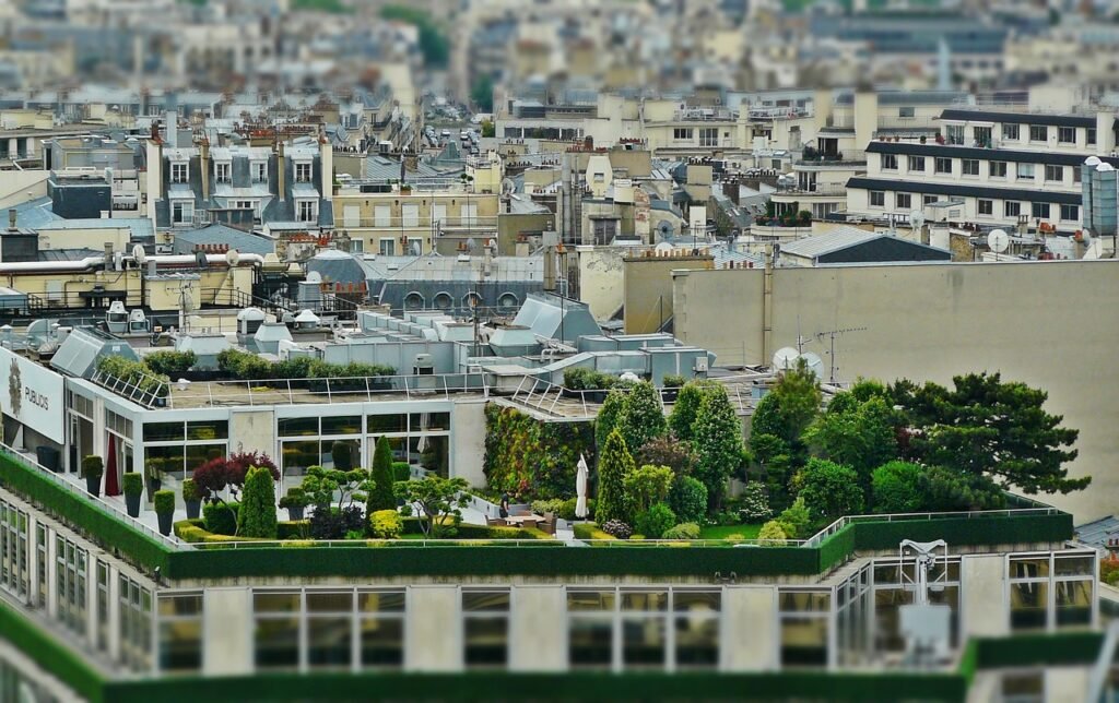 roof terrace, roof garden, architecture-1423897.jpg